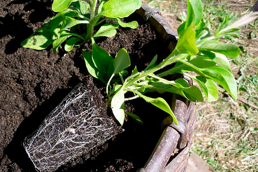 О нас пишут