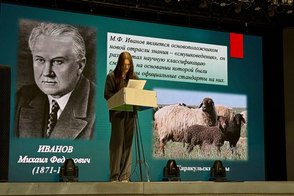 Историческая память