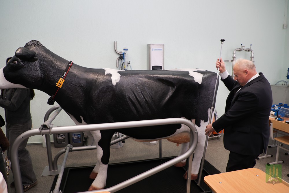 день открытых дверей