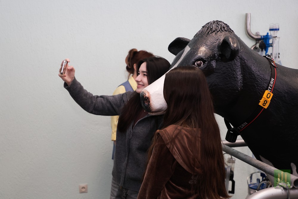 день открытых дверей