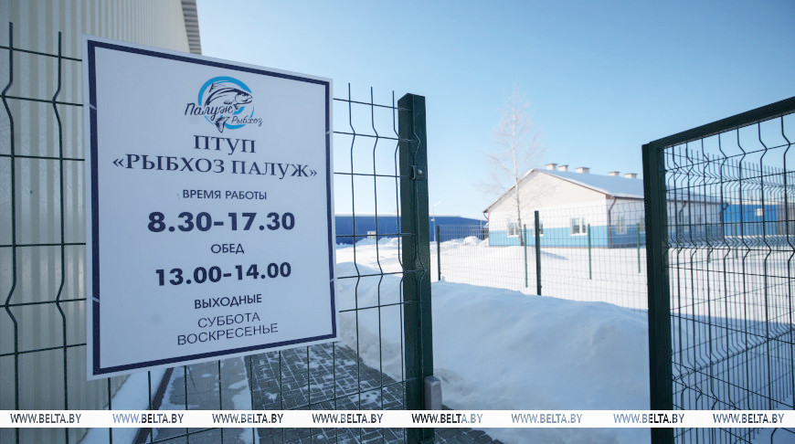 О нас пишут