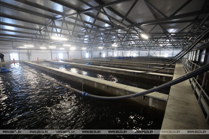 О нас пишут