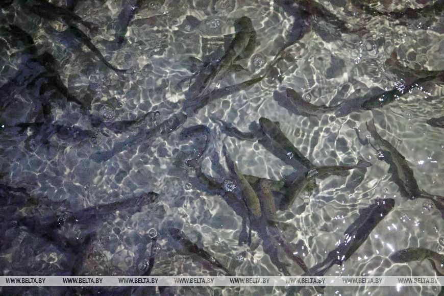 О нас пишут