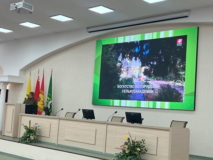 Круглый стол