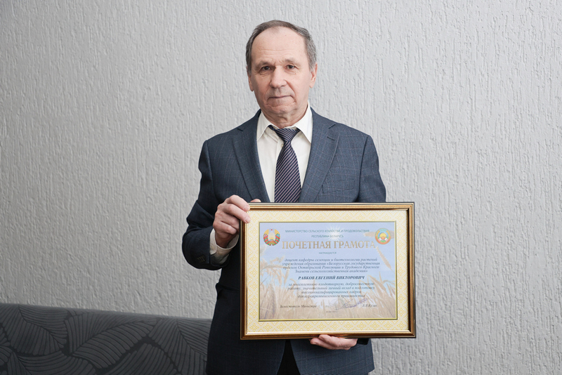 О нас пишут