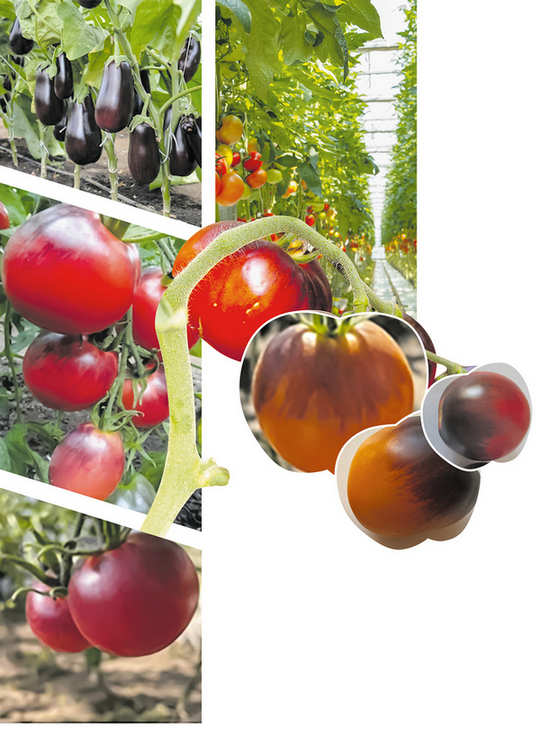 О нас пишут