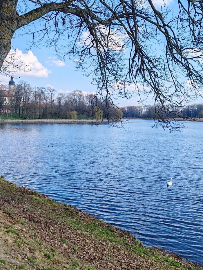 Путешествие в Несвиж