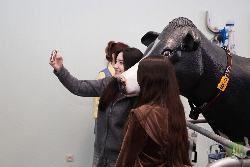 О нас пишут