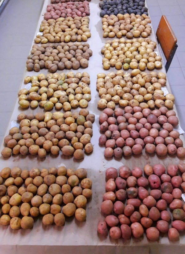 Технологии