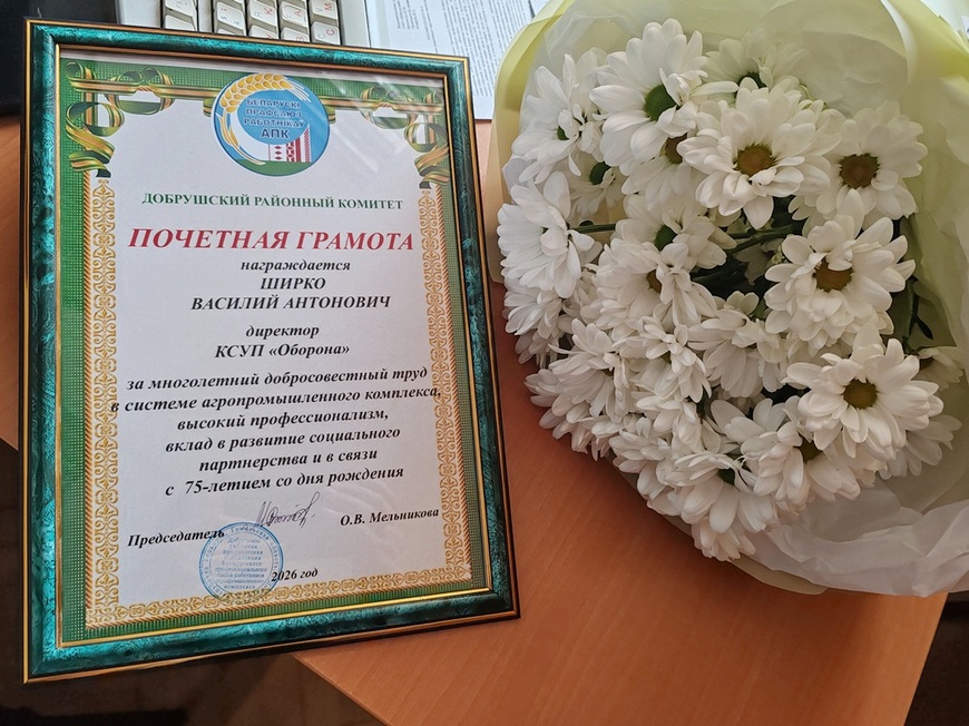 О нас пишут