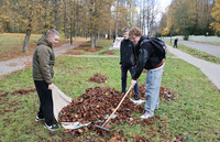 День чистоты и порядка