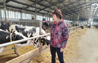 Помощь сельскохозяйственным предприятиям