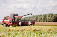 Молодежь о жизни на селе