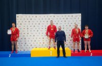 Чемпионат Республики Беларусь по борьбе самбо