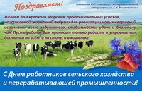 Поздравления