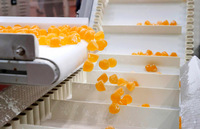 Познавательная и эмоциональная поездка