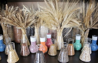 Итоги научно–исследовательской работы Национального банка генетических ресурсов растений Республики Беларусь в академии