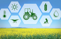 Прочный фундамент для развития отрасли