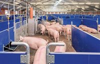 «Связанные одной целью»