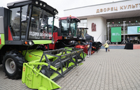 Выставки с настроением праздника