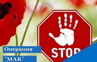 Правовые последствия выращивания наркосодержащих растений