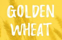 Определены победители III Международного молодежного конкурса рекламы «Золотой колос»(«GOLDEN WHEATS») в категории школьные проекты